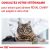 Royal Canin Expert Mature Consult Balance - Croquettes chat