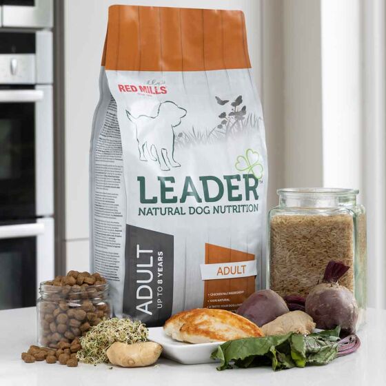 Croquettes chien Leader Adulte Medium poulet & riz (race moyenne)