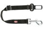 Ceinture sécurité chien