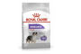 Croquettes Royal canin pour chien stérilisé