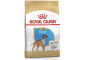Royal canin boxer
