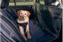 Protection siège voiture chien