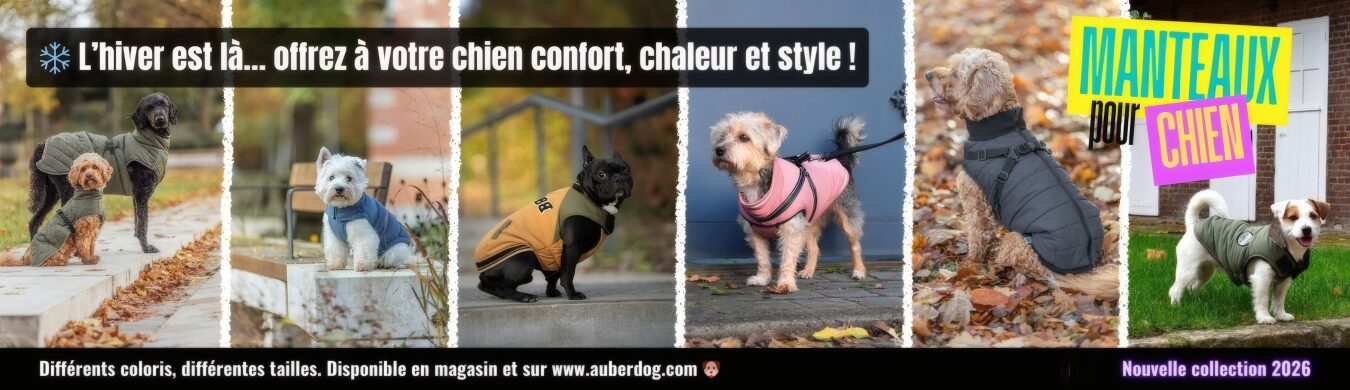Promotion en cours animalerie en ligne Auberdog