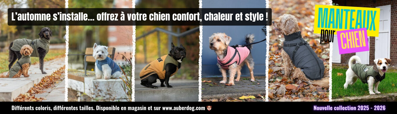 Promotion en cours animalerie en ligne Auberdog