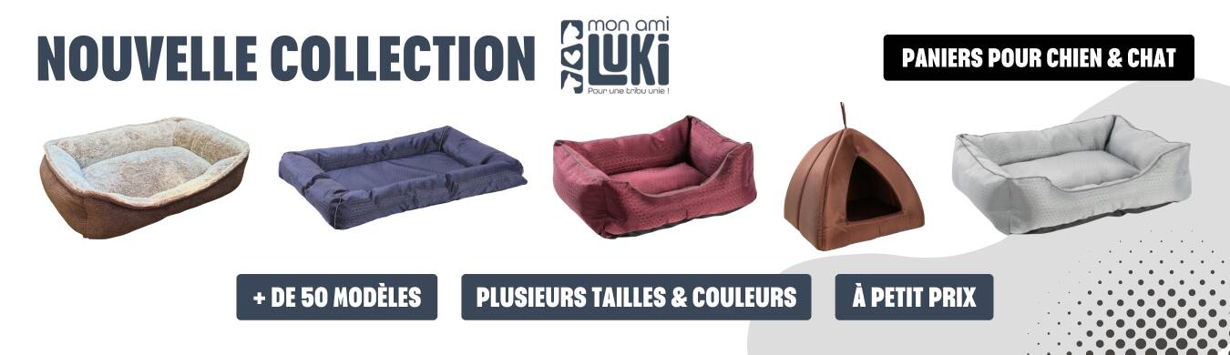 Promotion en cours animalerie en ligne Auberdog