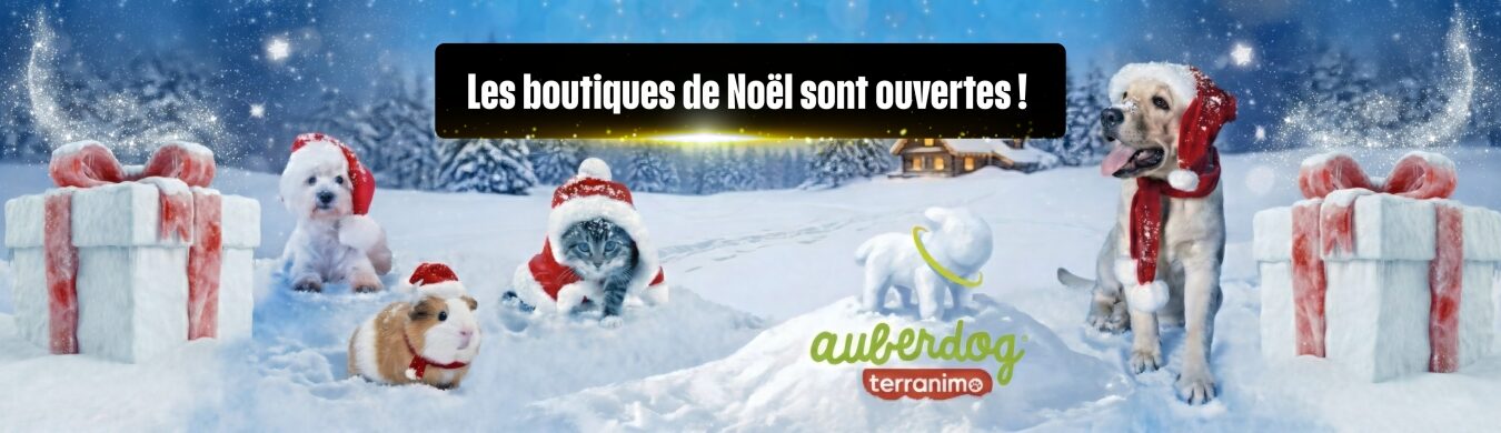 Promotion en cours animalerie en ligne Auberdog