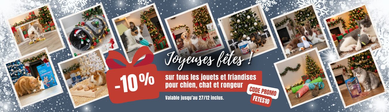 Promotion en cours animalerie en ligne Auberdog