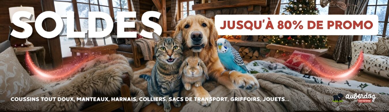 Promotion en cours animalerie en ligne Auberdog