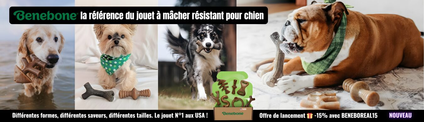 Promotion en cours animalerie en ligne Auberdog