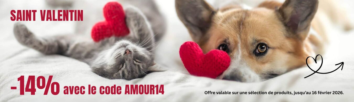 Promotion en cours animalerie en ligne Auberdog