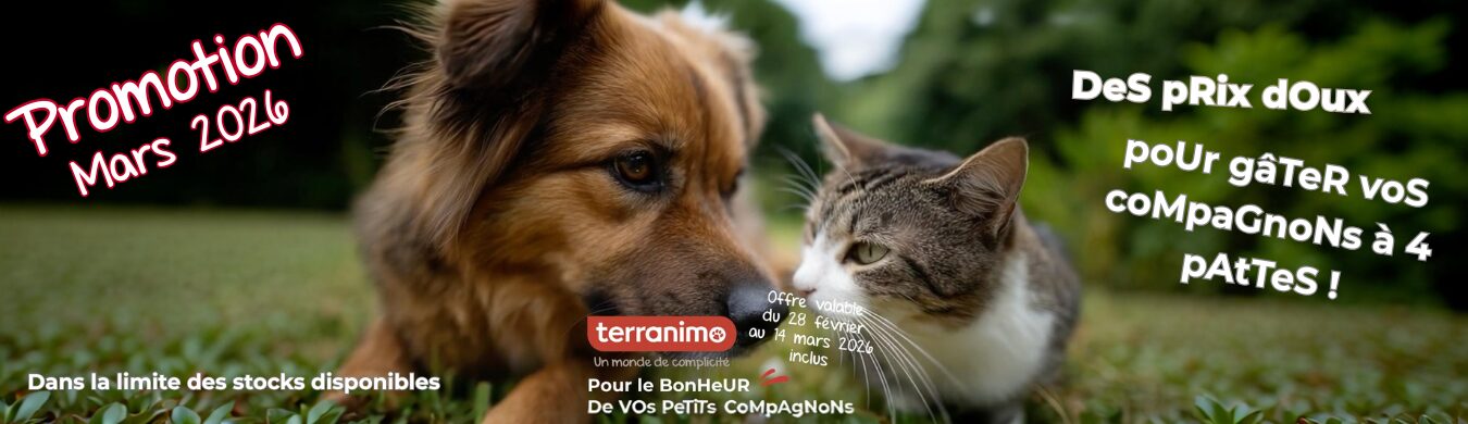 Promotion en cours animalerie en ligne Auberdog
