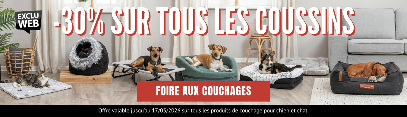 Promotion en cours animalerie en ligne Auberdog